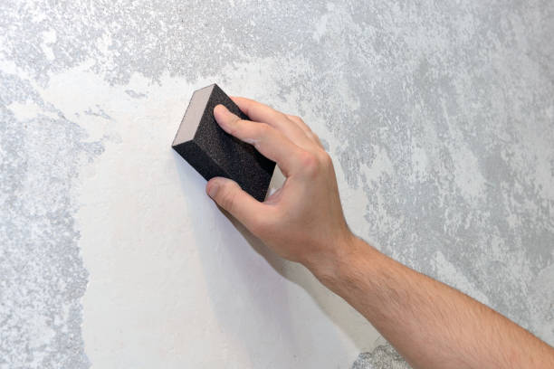 Best Forensic Mold Investigation  in Samson, AL