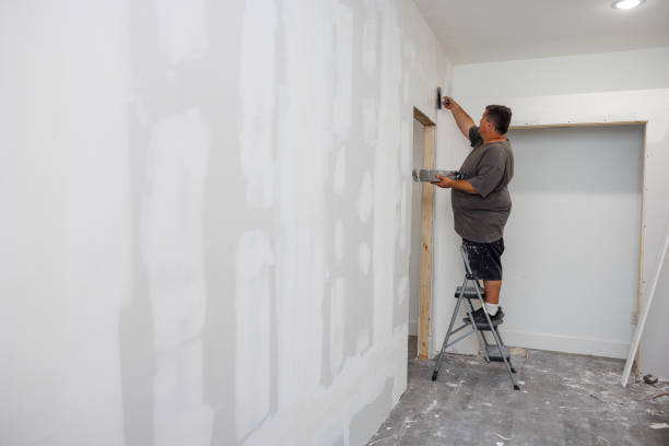 Best Mold Odor Removal Services  in Samson, AL